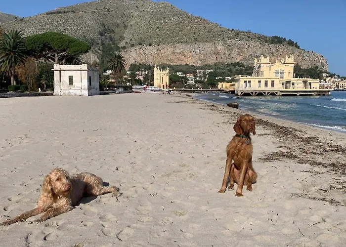 Due Cani Apartment